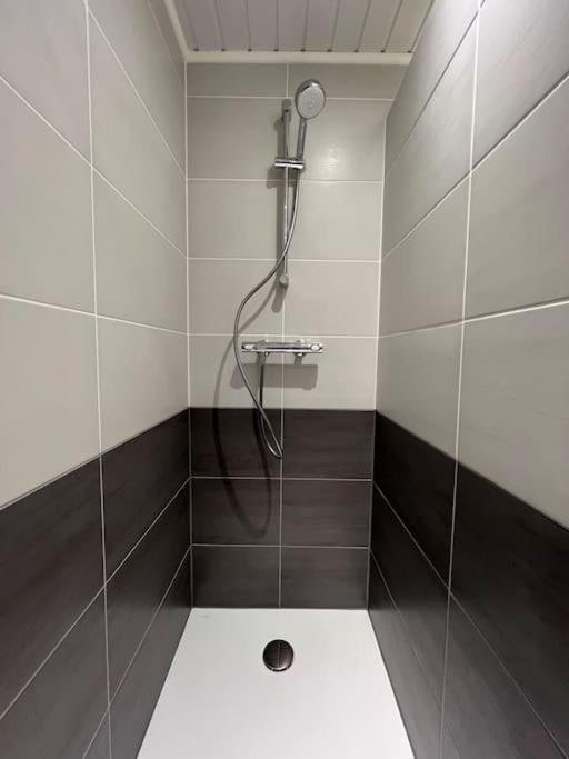 Apartment La Pause Allongee - Hypercentre Fontainebleau